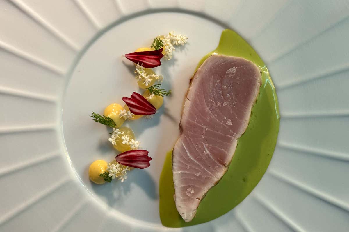 Barbagianni, un viaggio tra sapori toscani e suggestioni internazionali
Barbagianni, un viaggio tra sapori toscani e suggestioni internazionali