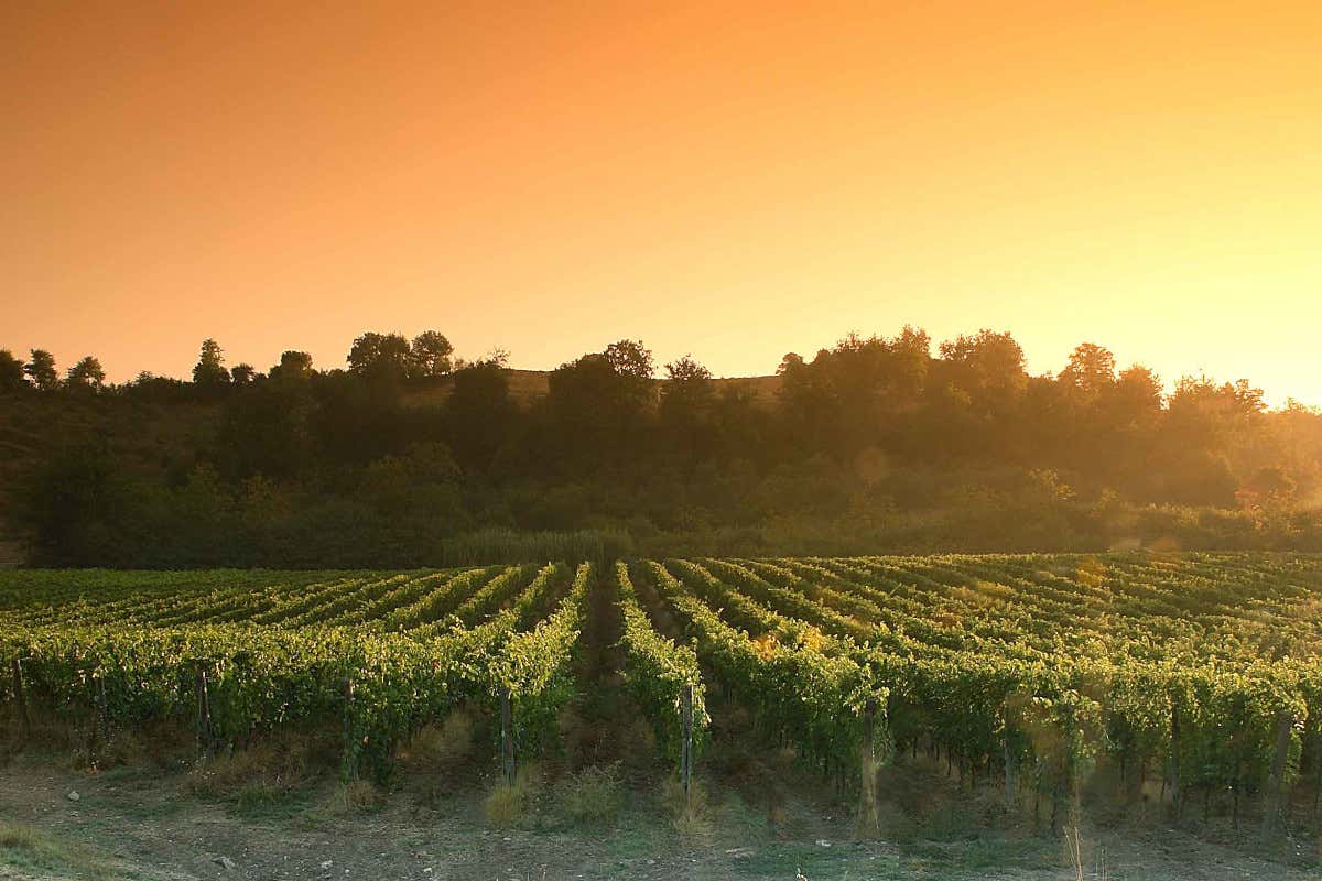 Caterina Sacchet: «Che gioia per il nostro Chianti tra i più emozionanti al mondo»