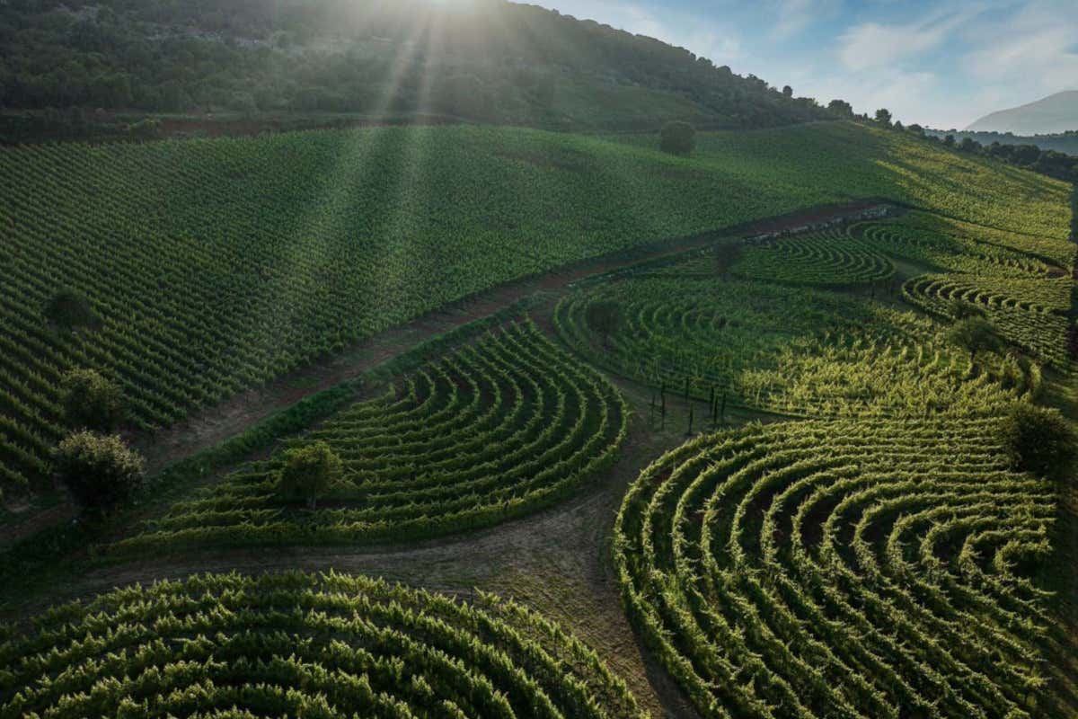 Tra fede, storia e calici millenari, il vino monastico conquista Fossanova Tra fede, storia e calici millenari, il vino monastico conquista Fossanova