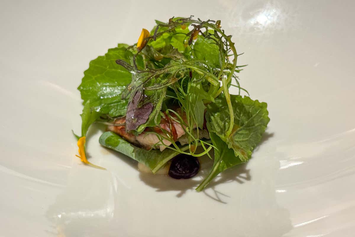 Il Roero in Tour fa tappa a Bologna tra vini, ricerca e cucina d’autore Il Roero in Tour fa tappa a Bologna tra vini, ricerca e cucina d’autore