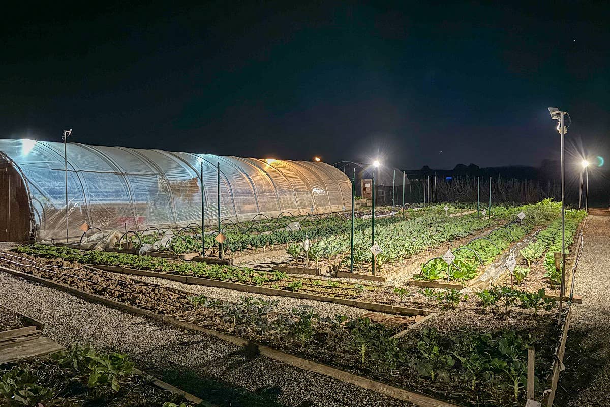 Ca' Matilde: la cucina che esalta stagioni, terra e sostenibilità