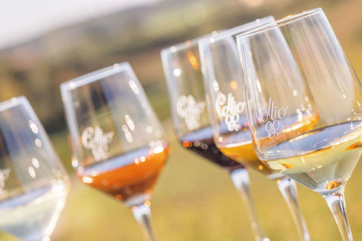 Scoprire Gorizia e le sue tradizioni culinarie: un viaggio fra culture e sapori Scoprire Gorizia e le sue tradizioni culinarie: un viaggio fra culture e sapori