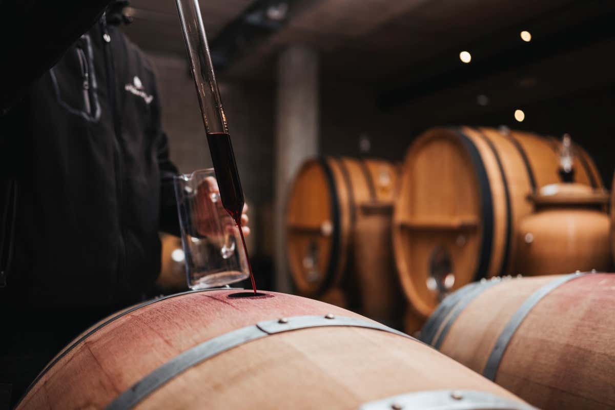 Enoturismo, non solo degustazioni: un viaggiatore su due vuole esperienze extra Enoturismo, non solo degustazioni: un viaggiatore su due vuole esperienze extra