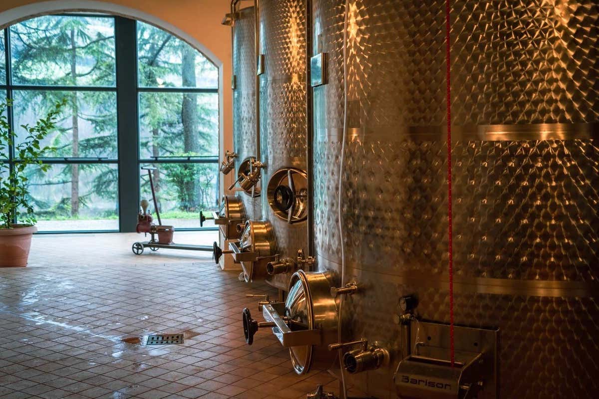 Enoturismo, non solo degustazioni: un viaggiatore su due vuole esperienze extra Enoturismo, non solo degustazioni: un viaggiatore su due vuole esperienze extra