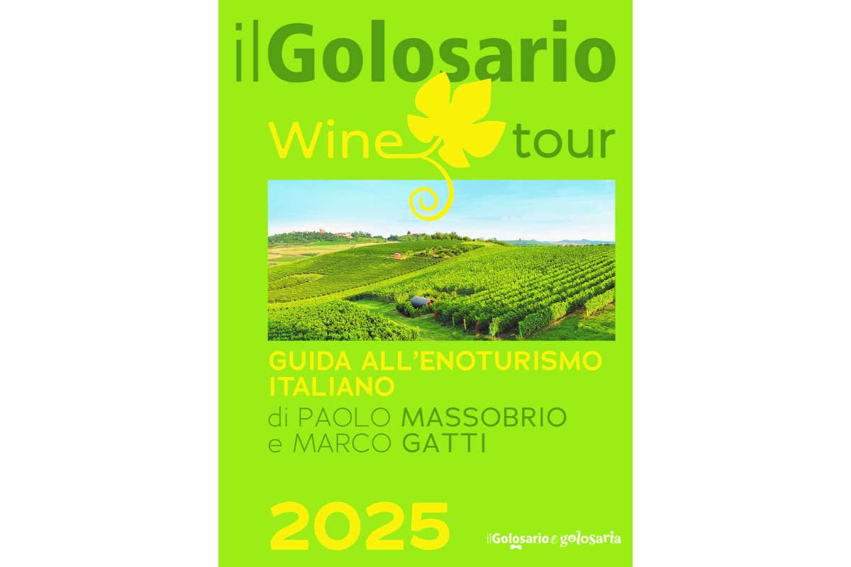 Enoturismo, non solo degustazioni: un viaggiatore su due vuole esperienze extra Enoturismo, non solo degustazioni: un viaggiatore su due vuole esperienze extra