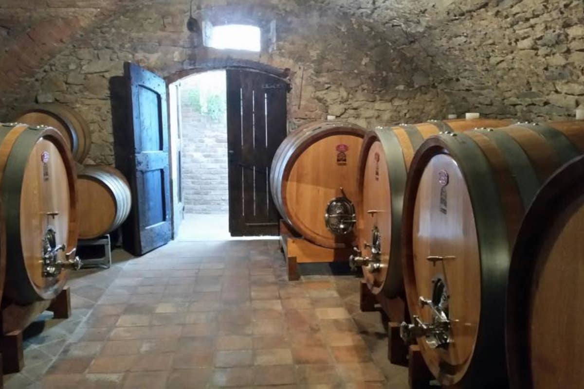 Abrigo Giovanni: un viaggio nel cuore del Dolcetto delle Langhe