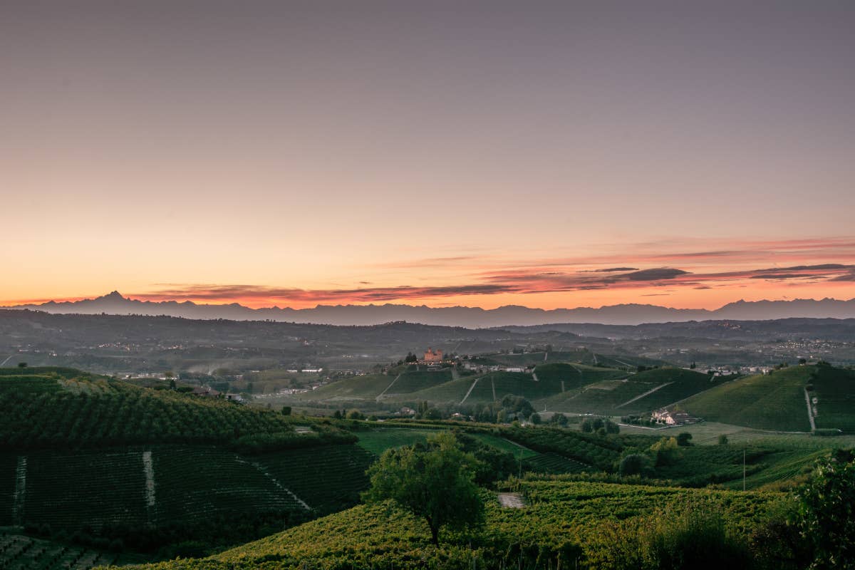 Abrigo Giovanni: un viaggio nel cuore del Dolcetto delle Langhe