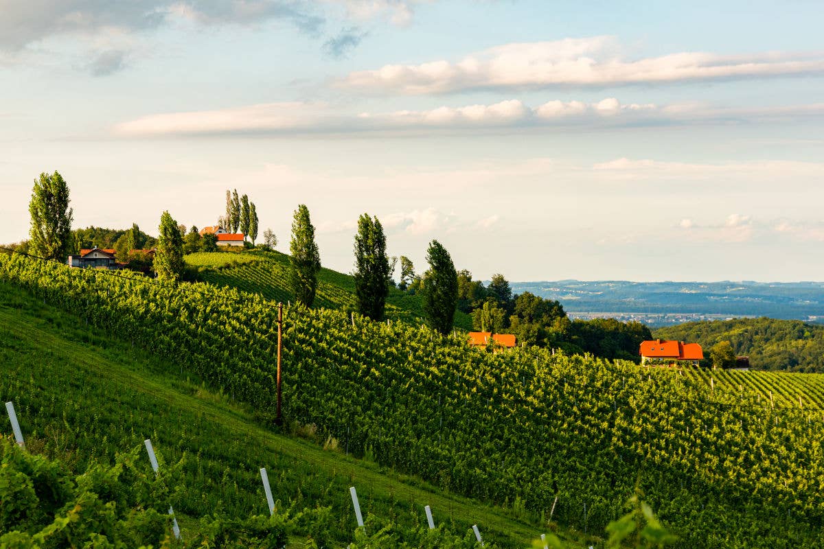 La Giornata Nazionale del Paesaggio: inno alla bellezza e alla cura dell'ambiente