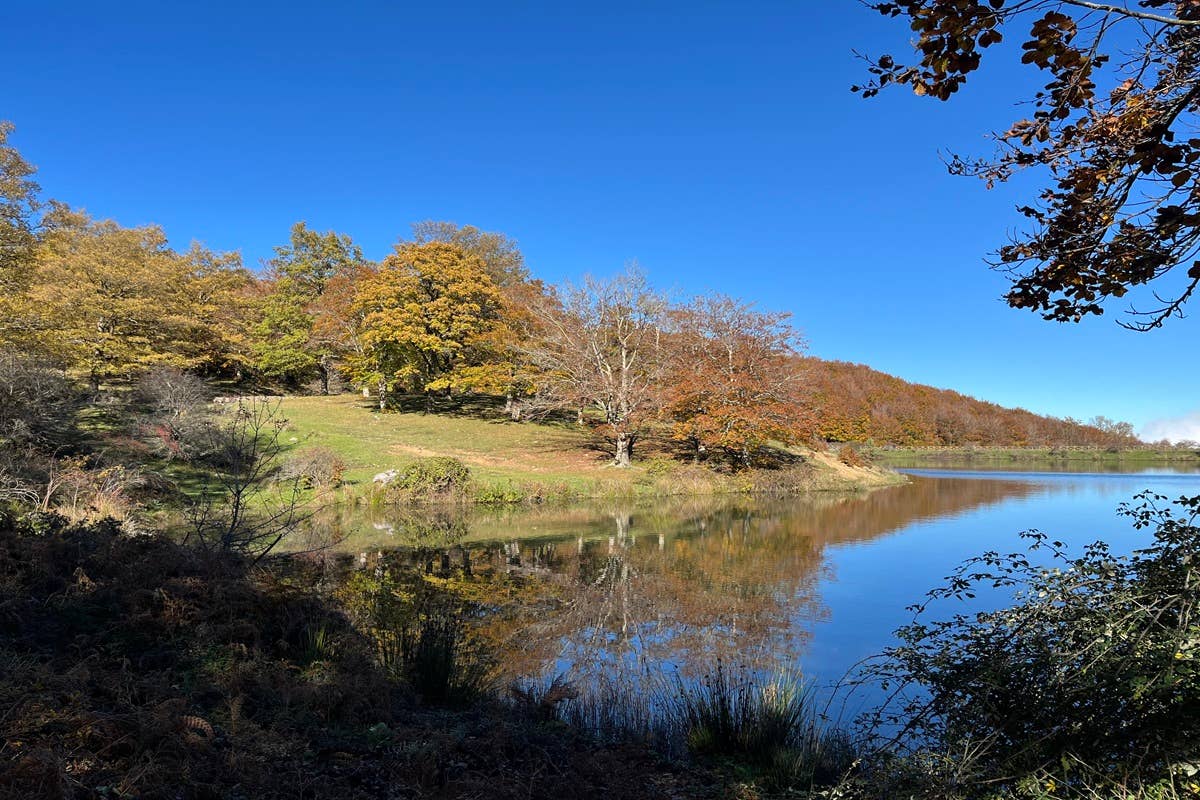 Nel Parco dei Nebrodi tra natura, tradizione e sapori della Sicilia