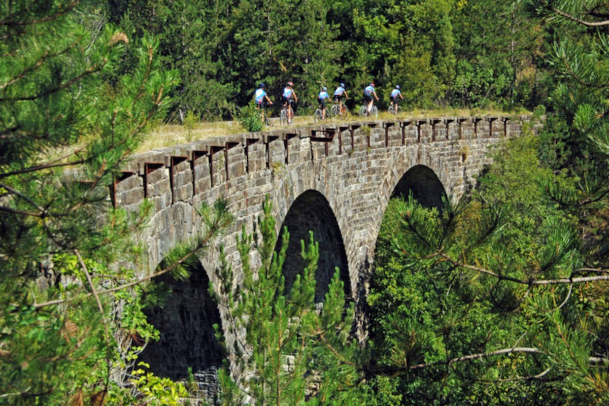 In Istria in autunno: dove il tartufo incontra il gin e le maratone