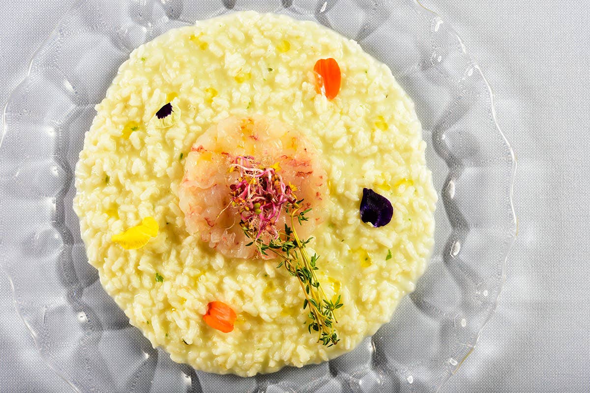 Risotto con battuta di scampi Park Hotel Marinetta, relax e divertimento per grandi e piccini