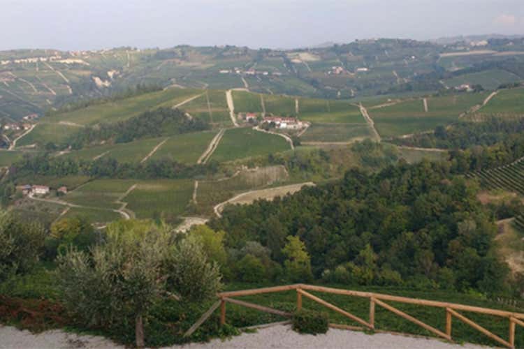 Passaggio di proprietà nelle Langhe Vigneti del Bricco Bompè a Poderi Colla Passaggio di proprietà nelle Langhe Vigneti del Bricco Bompè a Poderi Colla