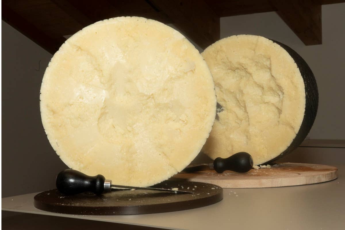 Il Pecorino Romano Dop: da formaggio dei Legionari a re delle ricette