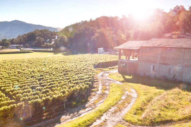 Piatti tipici e tradizioni locali Le feste popolari d'autunno in Ticino