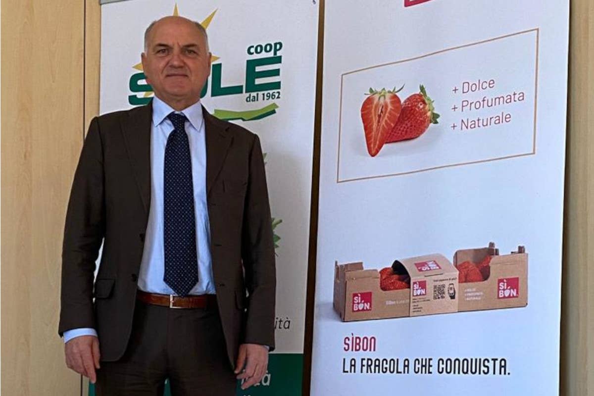 Pietro Ciardello Coop direttore Coop Sole fonte Rp circuiti Fragole invernali, una tendenza salutare che convince i consumatori europei