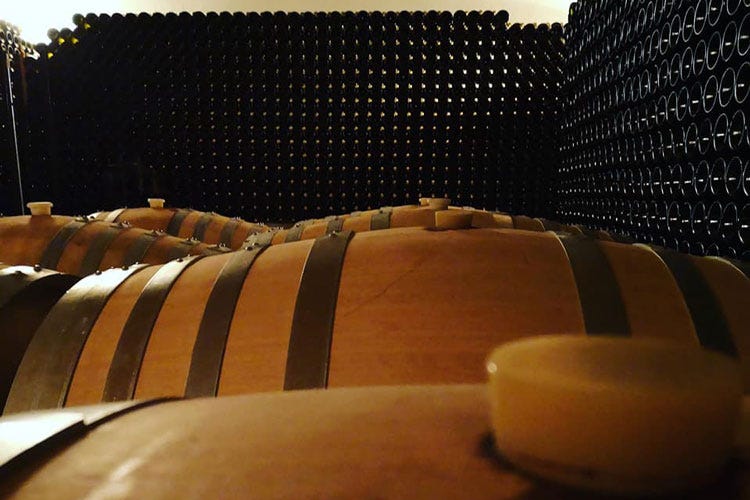 La bottaia dell'azienda pavese - La Piotta, dai vigneti d’inizi ‘900 le etichette del parallelo del vino