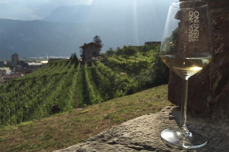 Più di 20 iniziative in Trentino per raccontare Vino santo e Nosiola