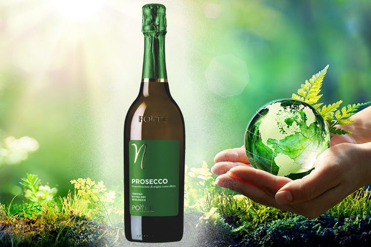 Un vino etico, genuino, certificato e che tutela la biodiversità - Prosecco Doc Bio di Ponte1948 nel pieno rispetto di Madre Natura