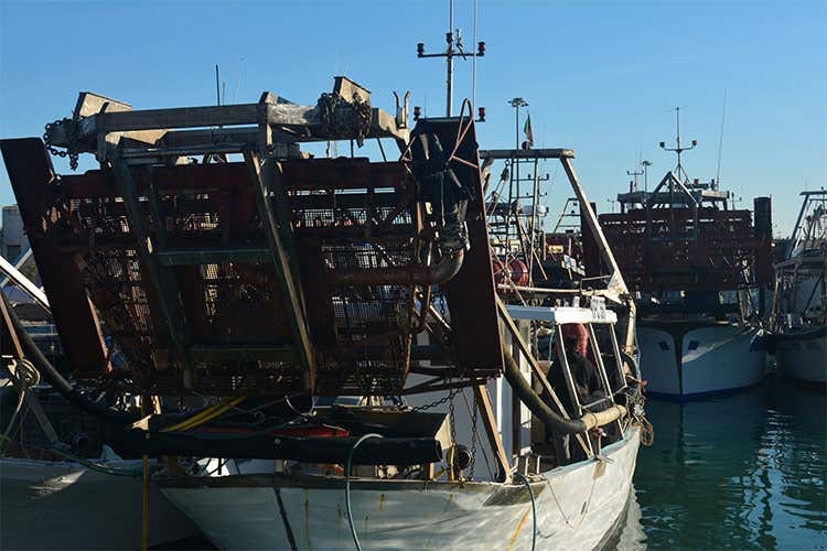 Qui 110 imbarcazioni da pesca e 450 da diporto, tra vela e motore - Il Porto di Giulianova Porta per le eccellenze in Abruzzo