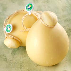 foto: Agenzia fotografica Marka