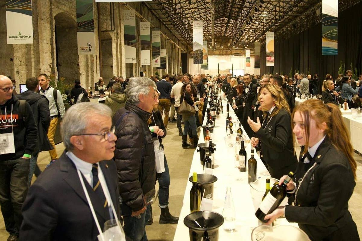 Guida Vitae 2025 di Ais: un viaggio tra i vini della Toscana