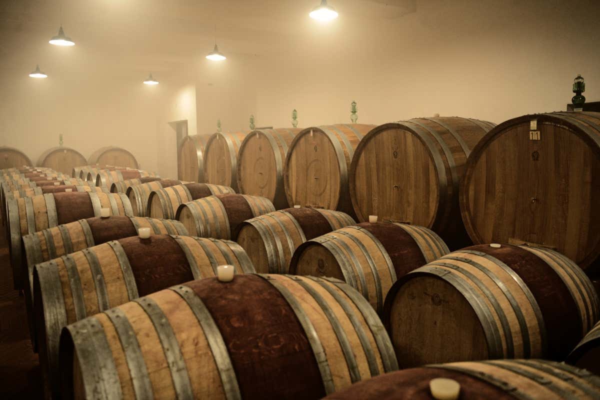 Cesarini Sartori: cantina “laboratorio” fra vino, olio e ricerca sul Sagrantino