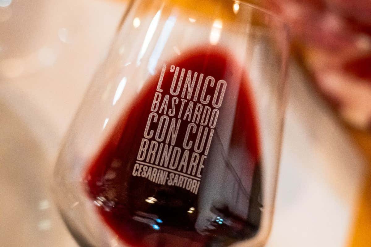 Cesarini Sartori: cantina “laboratorio” fra vino, olio e ricerca sul Sagrantino