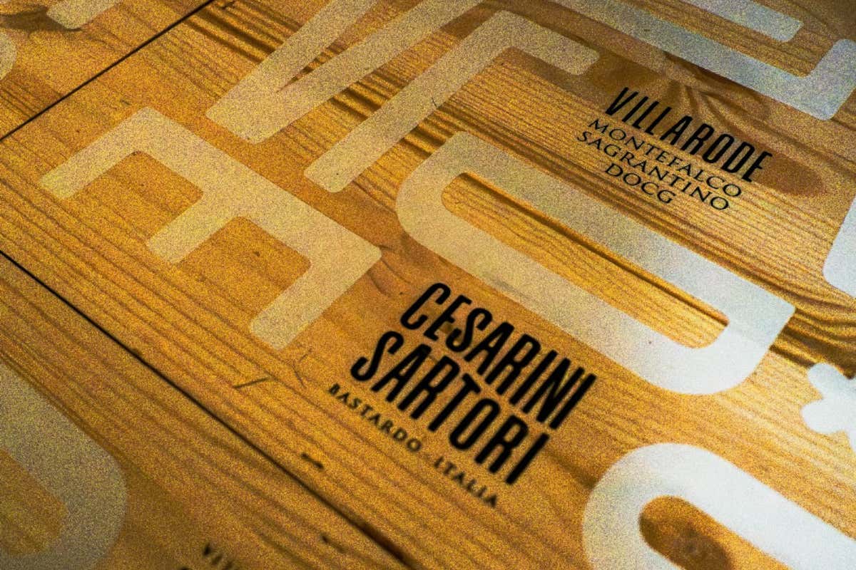 Cesarini Sartori: cantina “laboratorio” fra vino, olio e ricerca sul Sagrantino