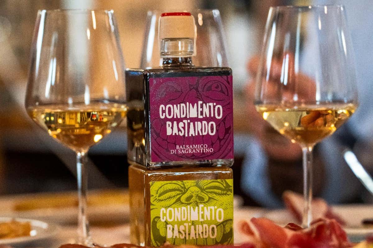 Cesarini Sartori: cantina “laboratorio” fra vino, olio e ricerca sul Sagrantino