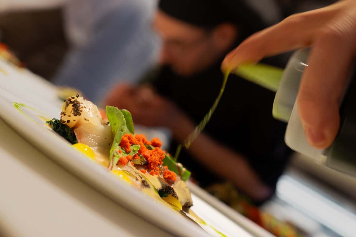 Dal mare alla tavola: Jesolo si fa gourmet con la ristorazione d’autore Dal mare alla tavola: Jesolo si fa gourmet con la ristorazione d’autore