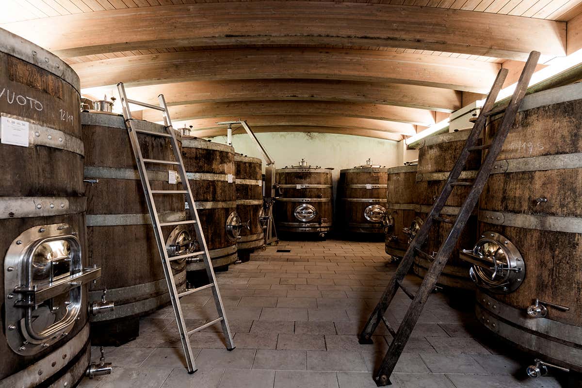 Radikon lancia POP, il vino che attraversa i confini e parla ai popoli