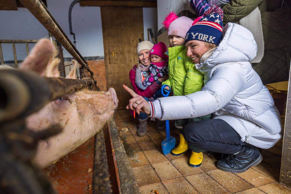 Settimana bianca in famiglia: relax e divertimento al Seetal Resort