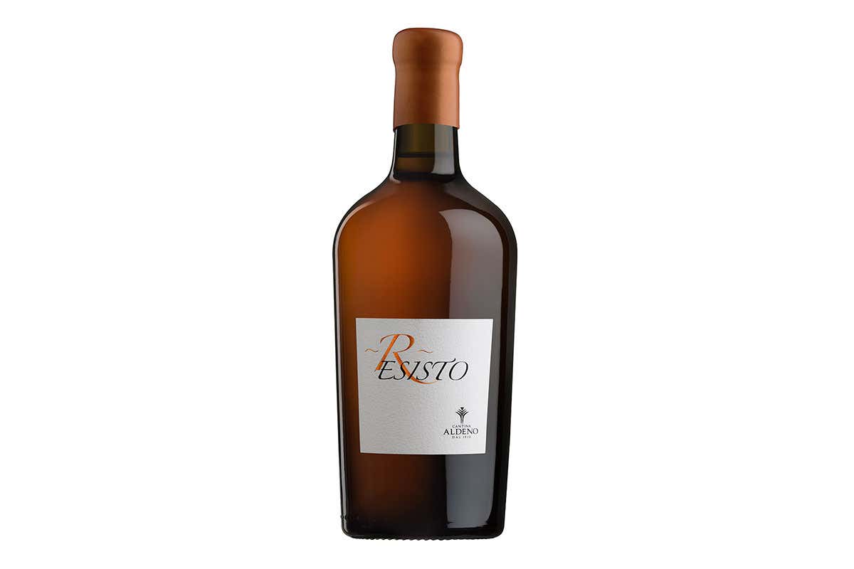 Cantina Aldeno, la prima cantina Biovegan in Italia