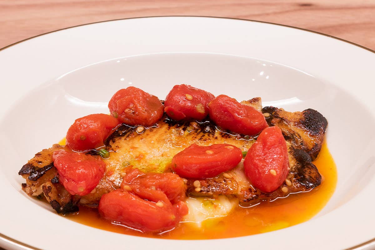 Ricciola all’acqua di mare pino cuttaia