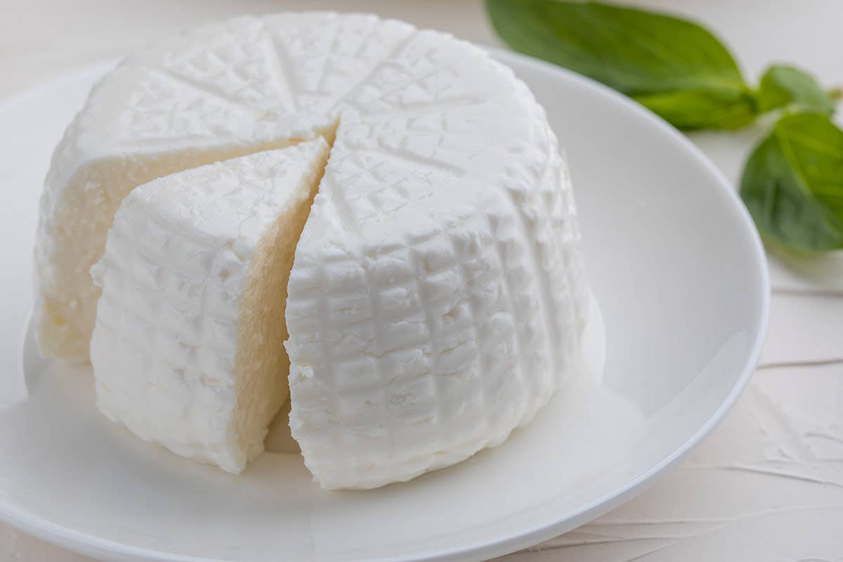 Ricotta di Bufala Campana Dop