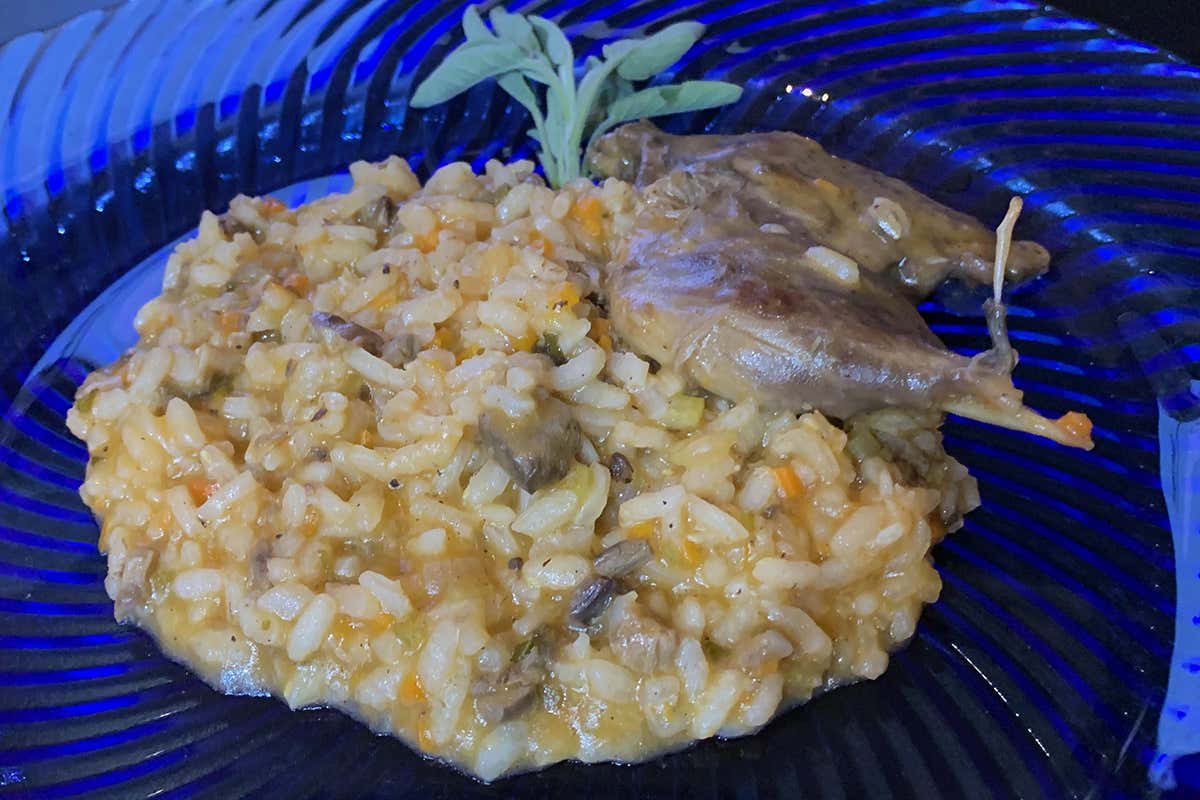 Il risotto alla folaga amato da Puccini Geni musicali e amanti della buona tavola: cosa mangiavano Verdi e Puccini