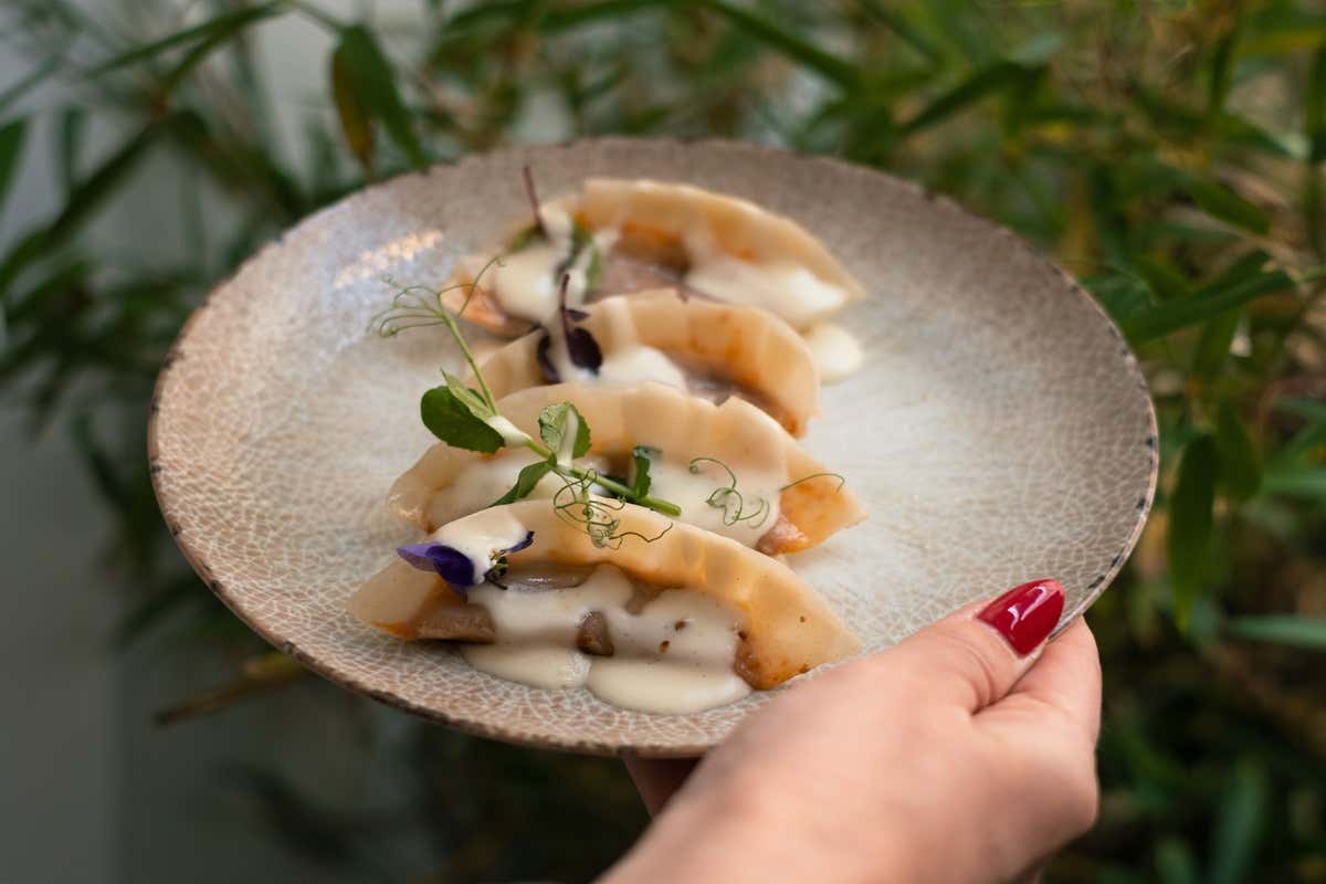 Anna al 20: dove la tradizione bolognese incontra i sapori romani e giapponesi Anna al 20: dove la tradizione bolognese incontra i sapori romani e giapponesi