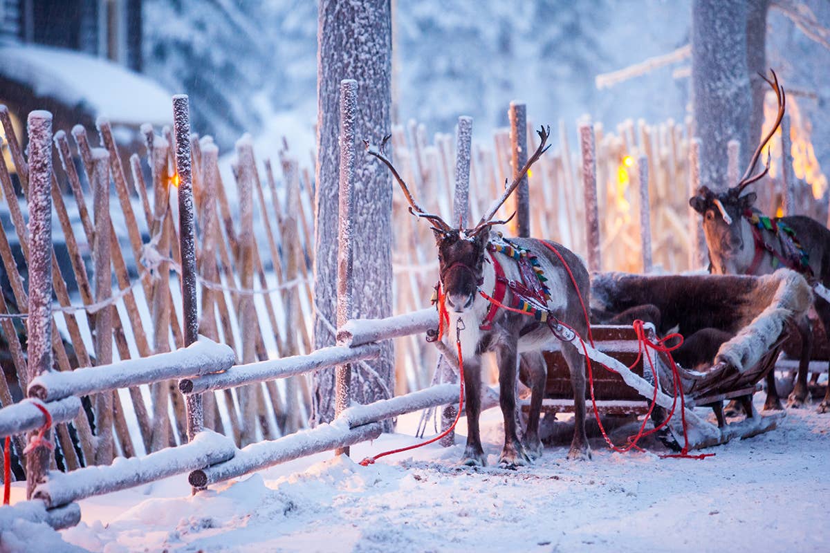 Babbo Natale pronto per portare i regali Babbo Natale pronto per portare i regali: elfi al lavoro in Lapponia