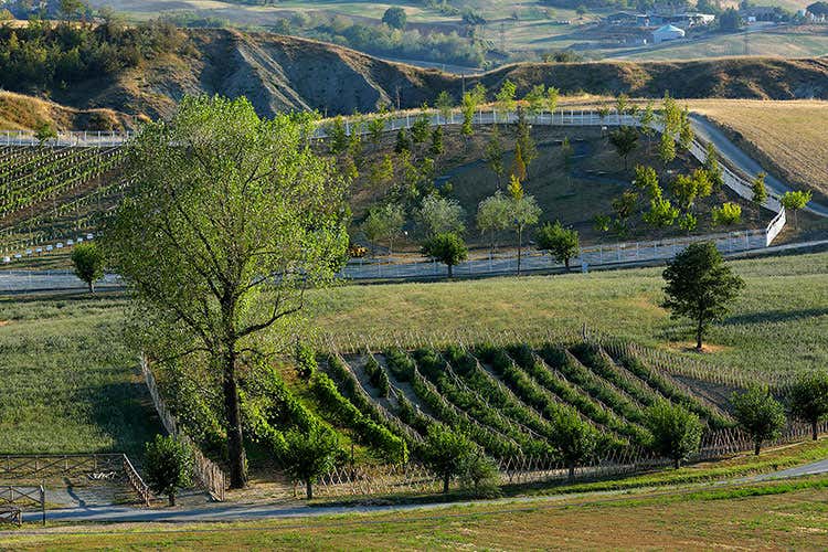 (Rural festival 2018 a Parma Viaggio nella biodiversit&agrave; della Romagna)