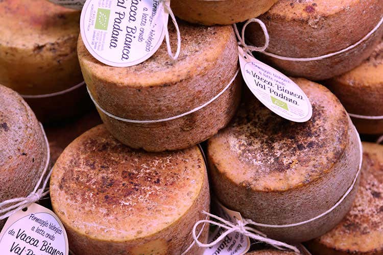 (Rural festival 2018 a Parma Viaggio nella biodiversit&agrave; della Romagna)