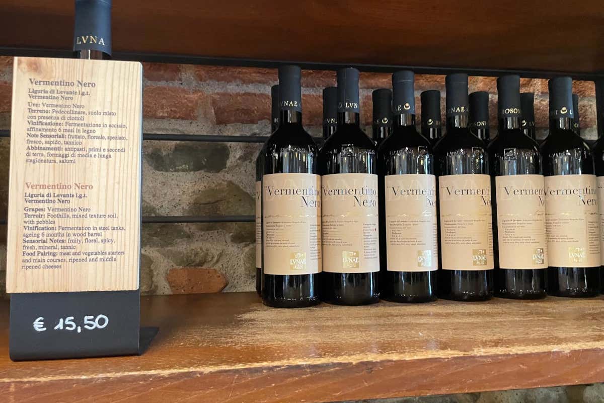 Da La Spezia verso l'appenino apuano: tra mare, borghi incantati e tesori nascosti