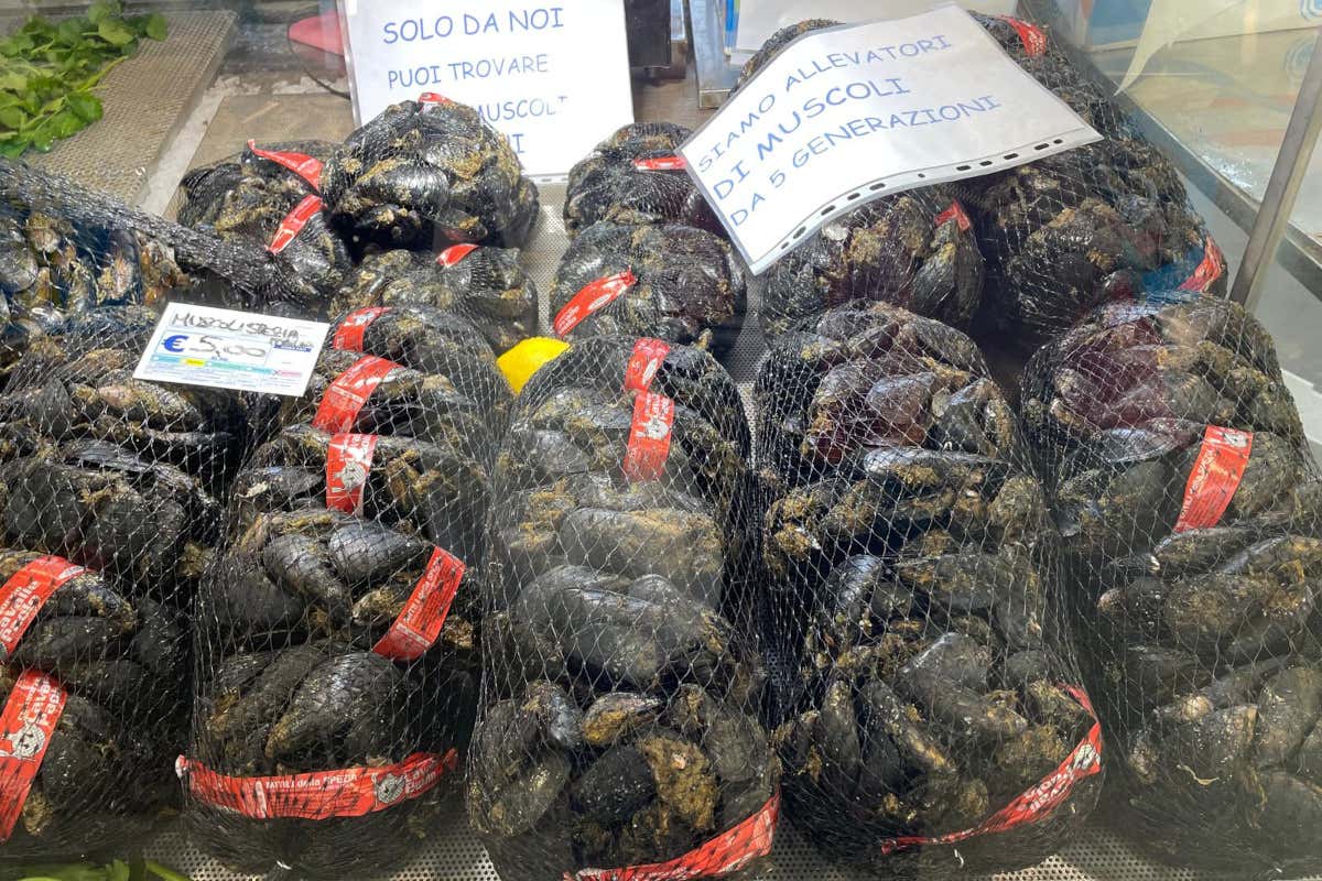 Da La Spezia verso l'appenino apuano: tra mare, borghi incantati e tesori nascosti