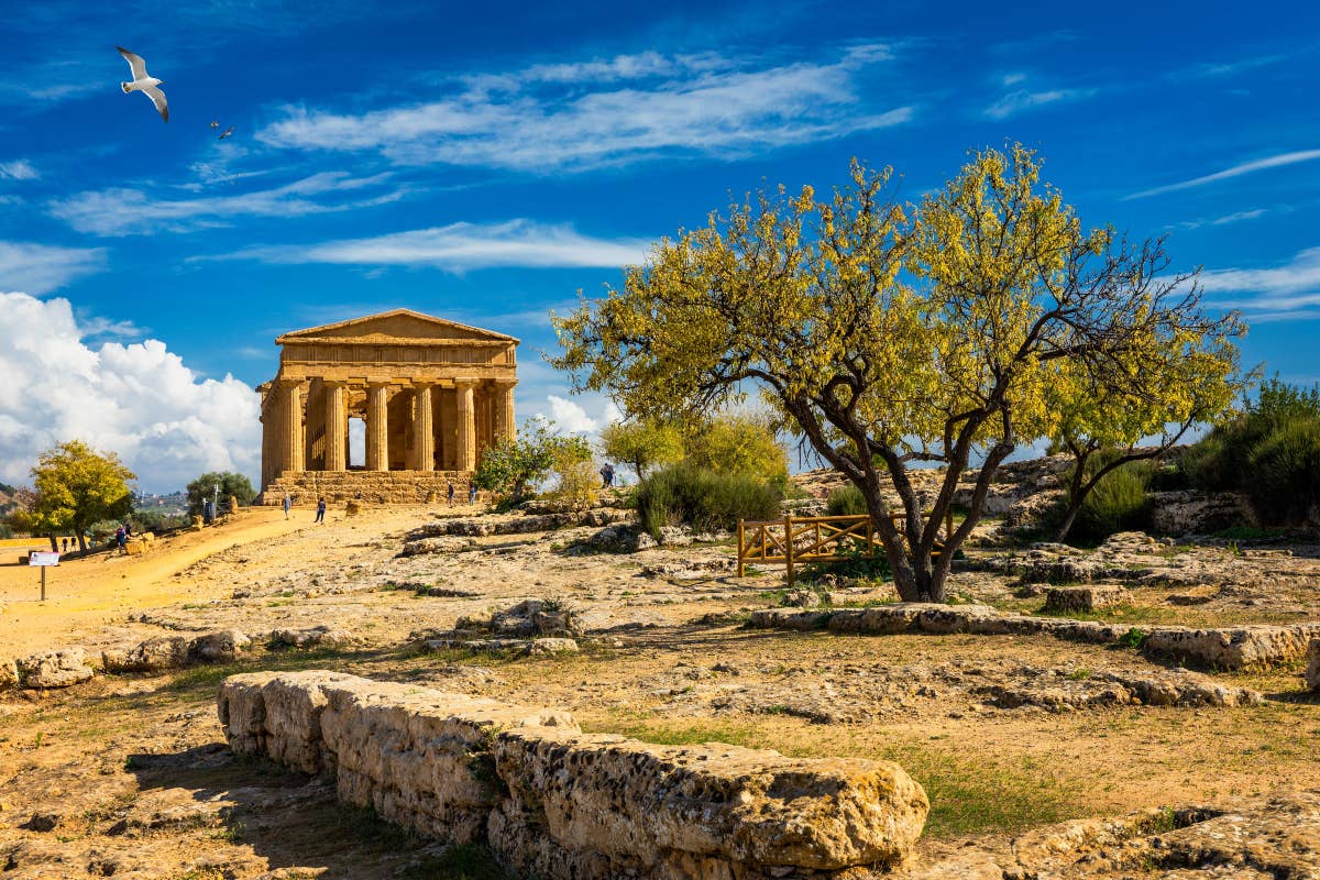 Dopo le polemiche, lascia il presidente della Fondazione Agrigento 2025