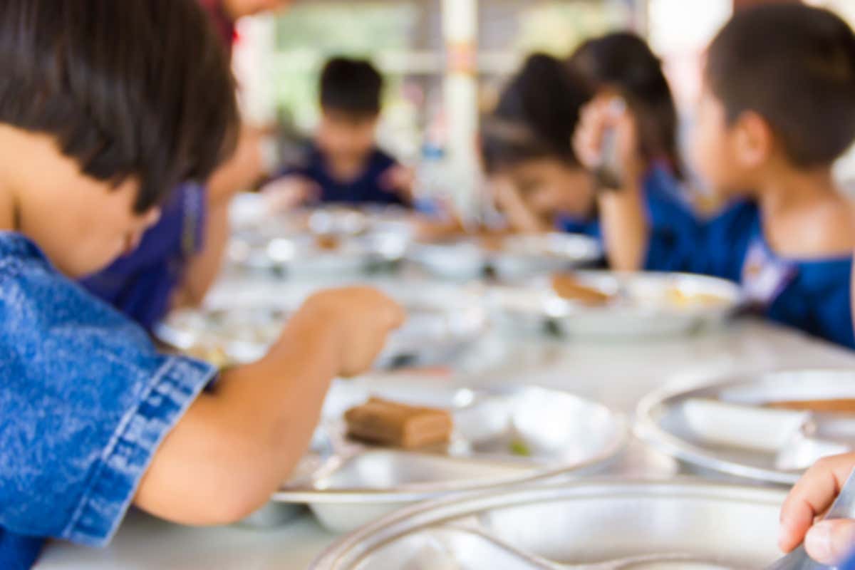 Cibi ultra-processati: la verità scomoda che scuole e famiglie non vogliono vedere Cibi ultra-processati: la verità scomoda che scuole e famiglie non vogliono vedere