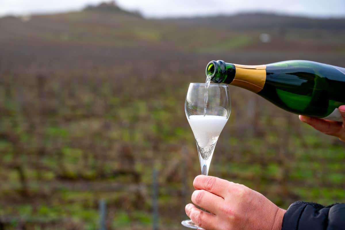 Zucchero nel vino fermo Dop: la mossa francese che mette l’Italia con le spalle al muro Zucchero nel vino fermo Dop: la mossa francese che mette l’Italia con le spalle al muro