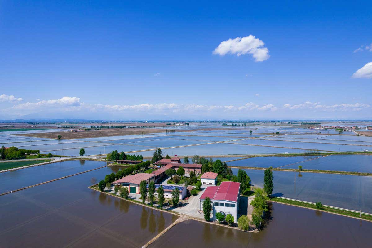 Alla scoperta di Novara: tra monumenti, natura e gastronomia