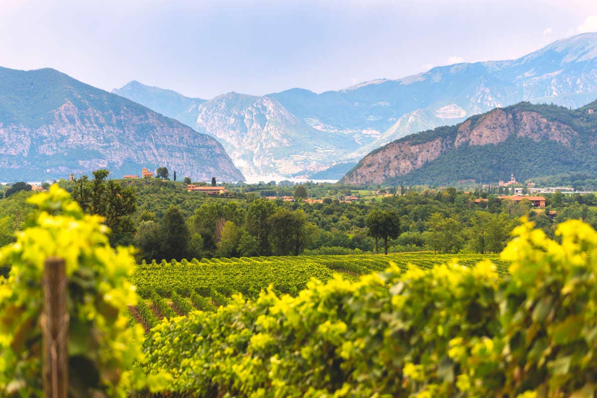 Franciacorta in festa: eventi, degustazioni e incontri per i 35 anni del Consorzio