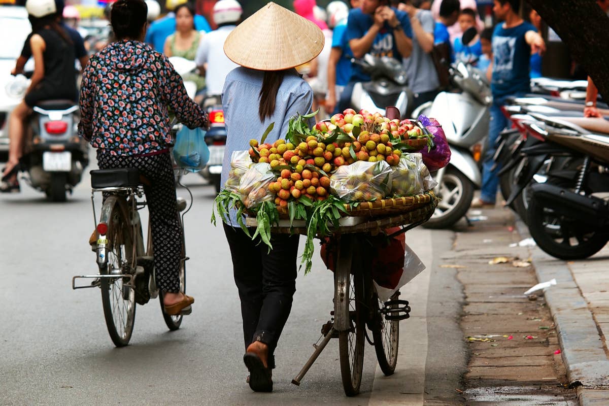 Italia e Vietnam in cucina: workshop, eventi e asta del tartufo ad Hanoi