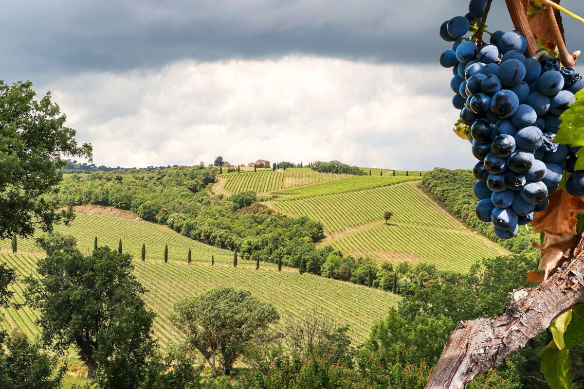 Colline Teramane: il Montepulciano d’Abruzzo in tutte le sue sfumature