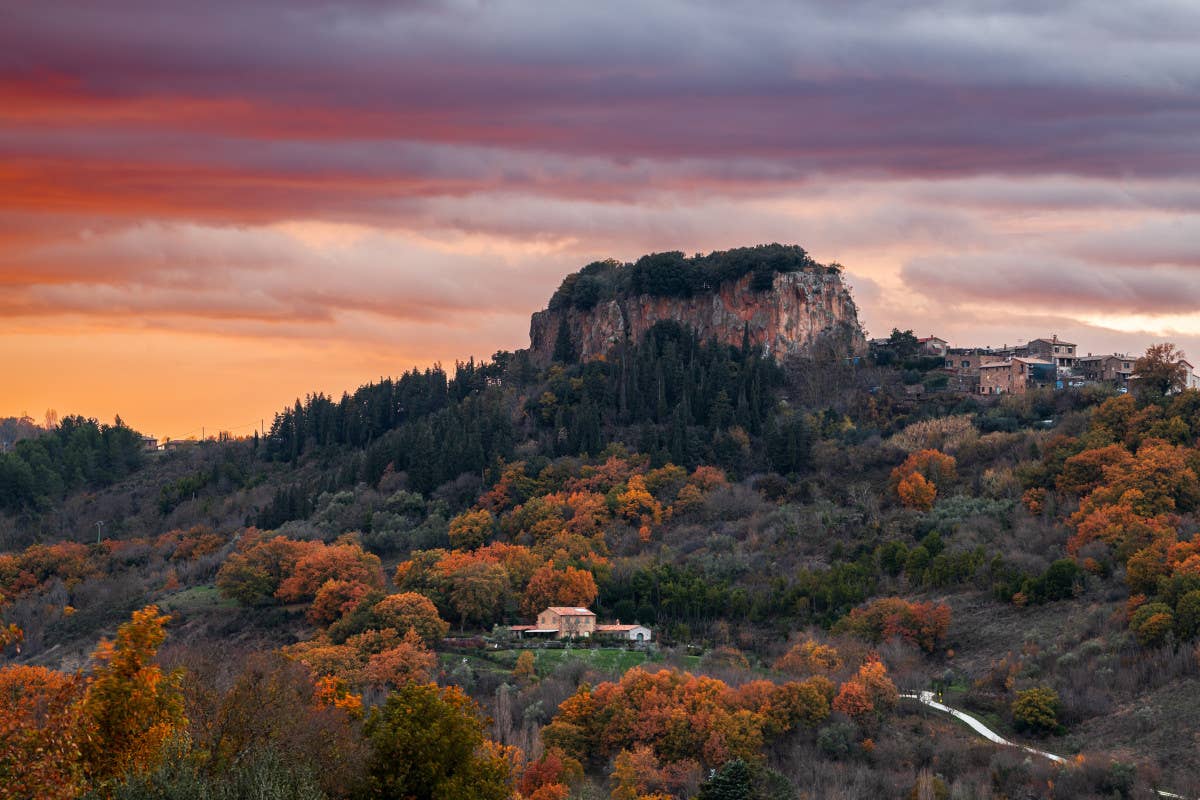 L'autunno dal finestrino: in treno verso cinque foreste italiane